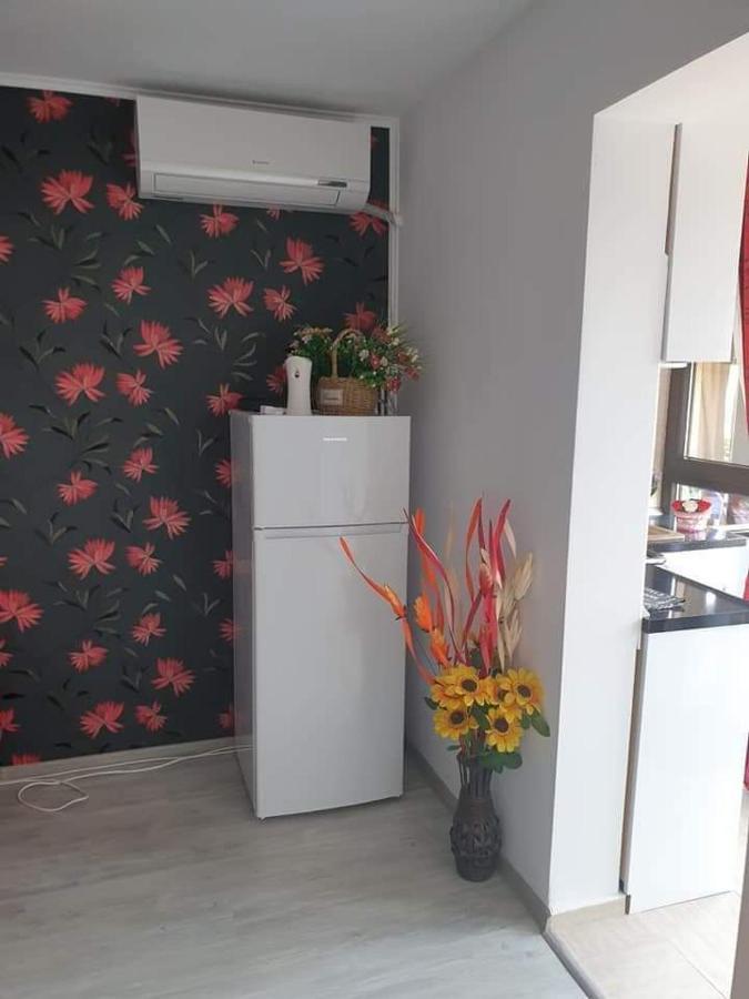 סאטורן Apartament Alina מראה חיצוני תמונה