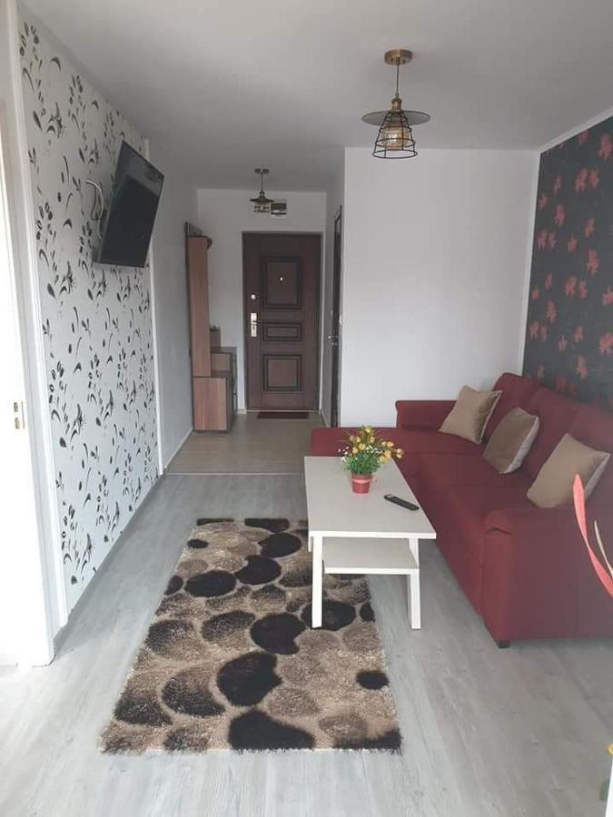 סאטורן Apartament Alina מראה חיצוני תמונה