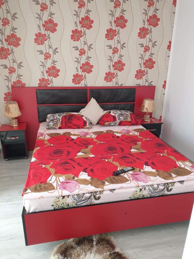 סאטורן Apartament Alina מראה חיצוני תמונה