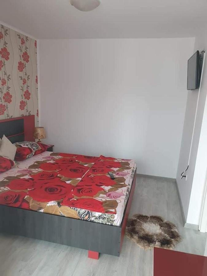 סאטורן Apartament Alina מראה חיצוני תמונה