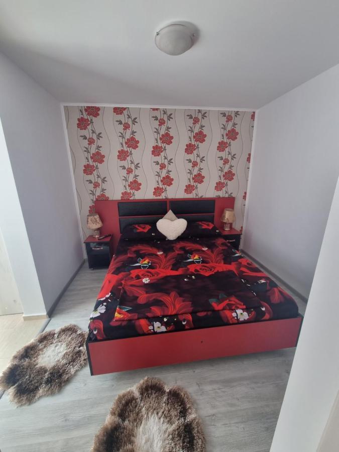 סאטורן Apartament Alina מראה חיצוני תמונה